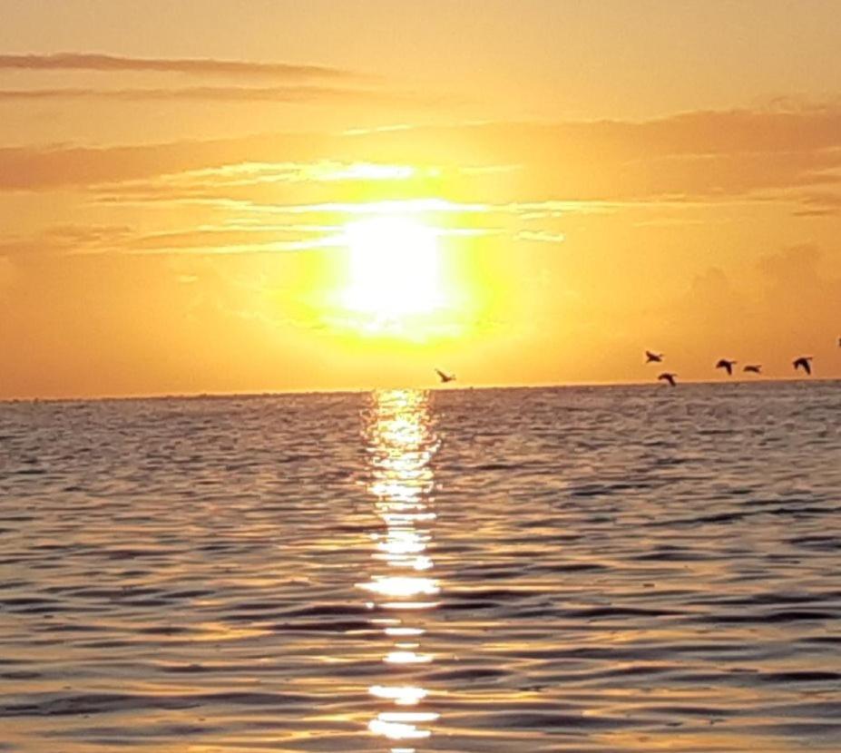 Waddenfestijn Villa Paesens Luaran gambar