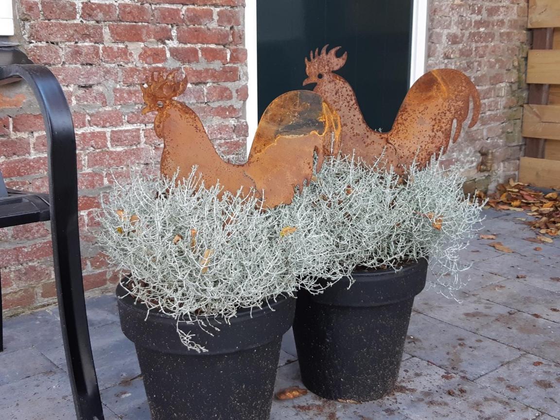 Waddenfestijn Villa Paesens Luaran gambar